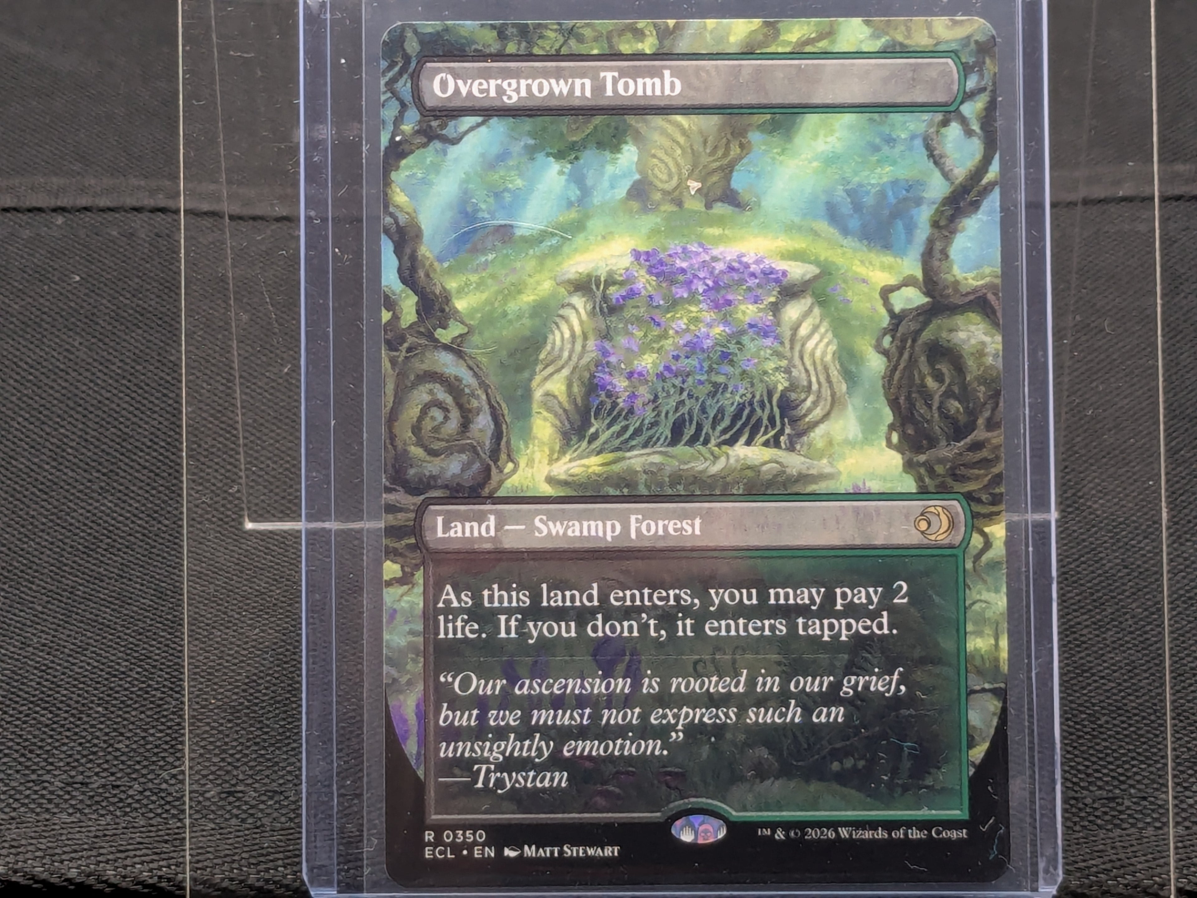 Overgrown Tomb(Borderless)