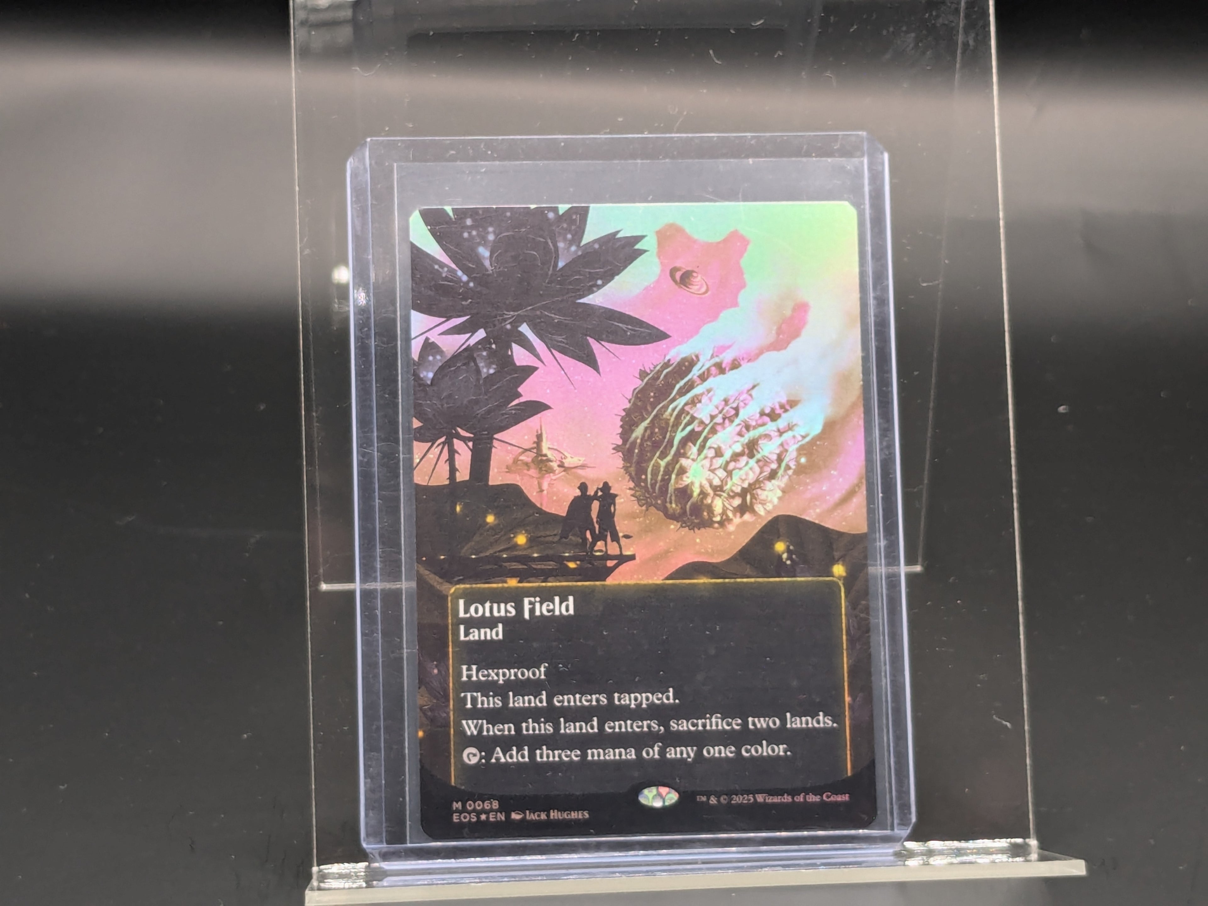Lotus Field (Borderless)