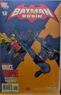 Batman VS Robin #12