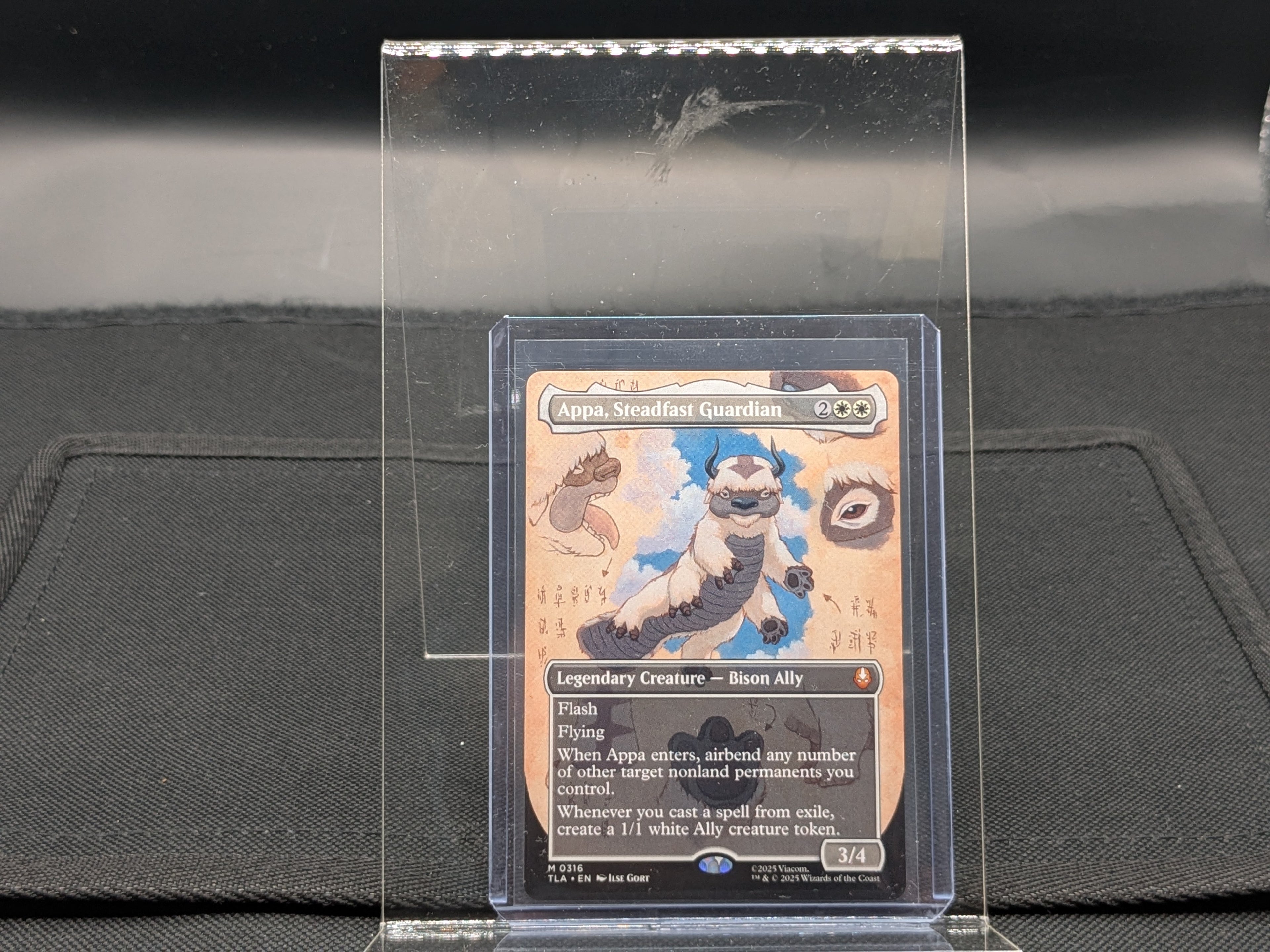 Appa, Steadfast Guardian (Borderless)