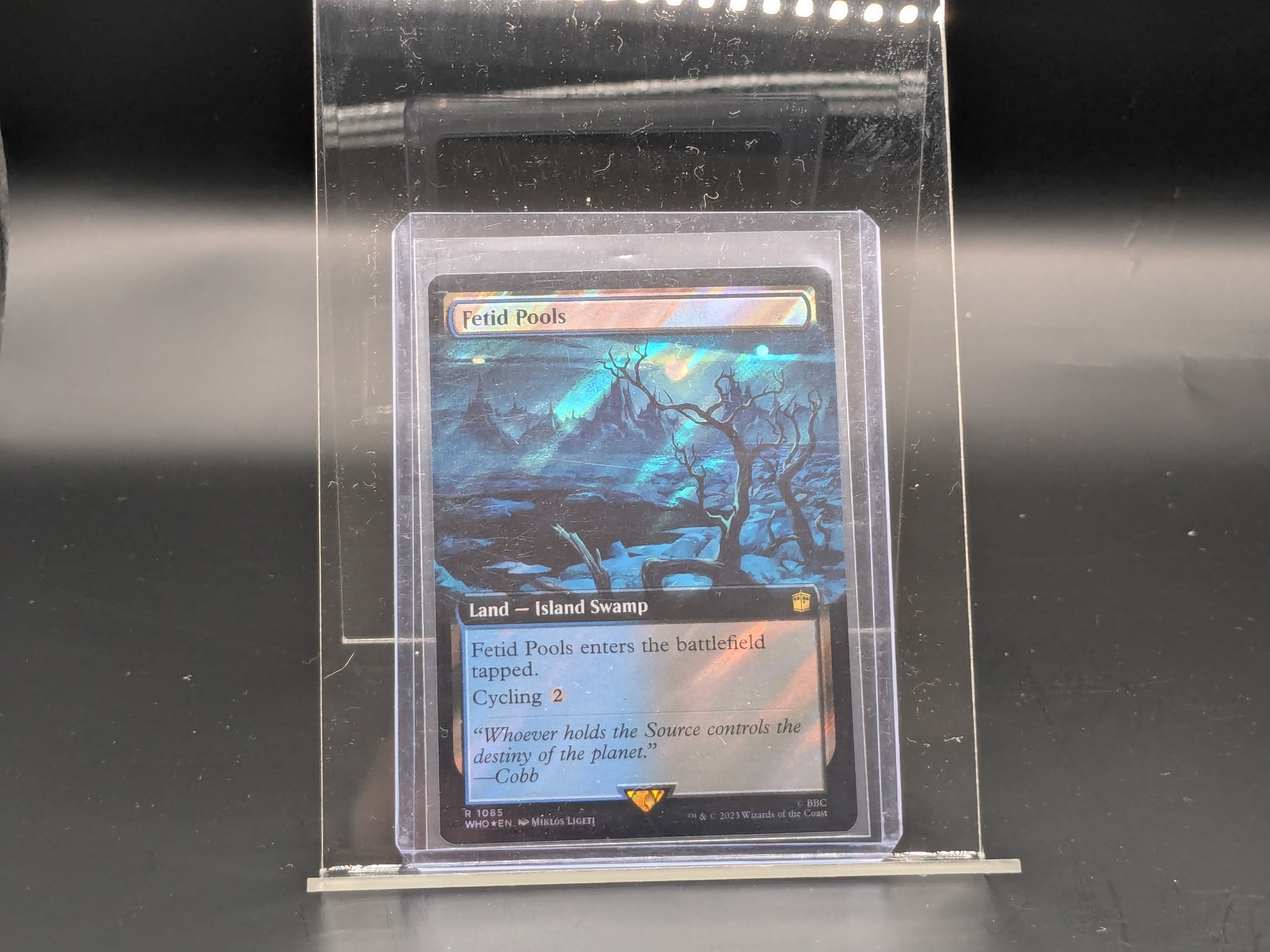 Fetid Pools(Extended Art/Surge Foil)